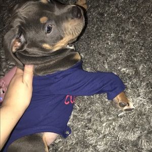 Meet your Posher, Breda